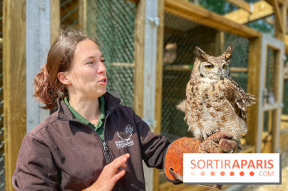 Fauconnier d'un jour - IMG 1415