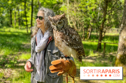 Fauconnier d'un jour - IMG 1420