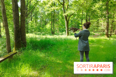 Fauconnier d'un jour - IMG 1428