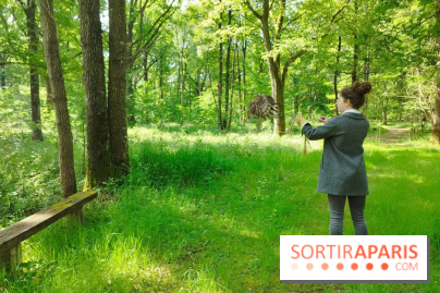 Fauconnier d'un jour - IMG 1429