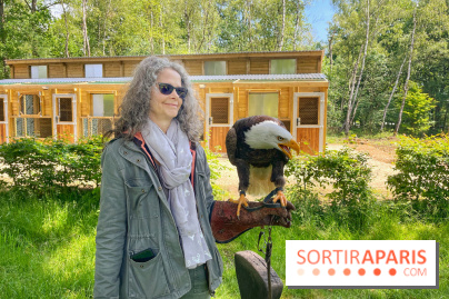 Fauconnier d'un jour - IMG 1444