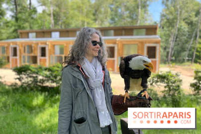 Fauconnier d'un jour - IMG 1445