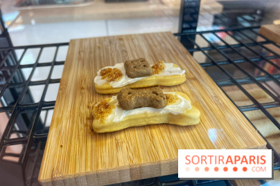 Casa del Doggo - IMG 1591