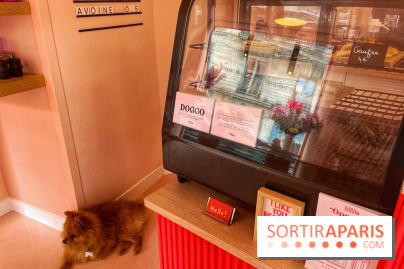 Casa del Doggo - IMG 1596