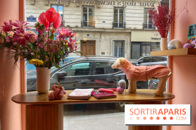 Casa del Doggo - IMG 1621