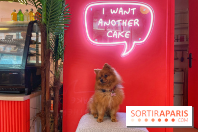 Casa del Doggo - IMG 1642