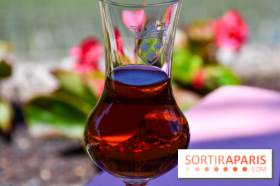 L'Écu de France, un restaurant gastronomique en bord de Marne - DSC 1465