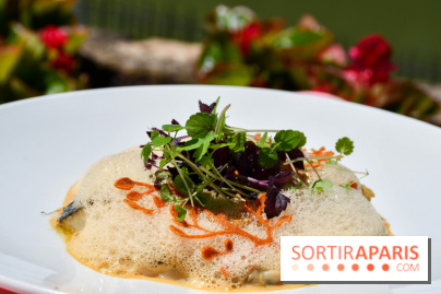 L'Écu de France, un restaurant gastronomique en bord de Marne - DSC 1491