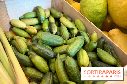 Lemon Story - Agrumes