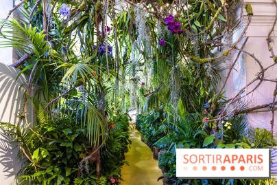 Exposition Paris à l'Hôtel de Ville - les Photos