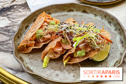 Terraza Mikuna, bar à tapas sud-américain sur la terrasse rooftop du BHV Marais - image00053