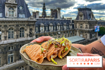 Terraza Mikuna, bar à tapas sud-américain sur la terrasse rooftop du BHV Marais - image00064