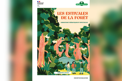 LES ESTIVALES DE LA FORÊT 2024 - Sorties nature et spectacles en forêt - du 01 juin au 28 août | Office national des forêts