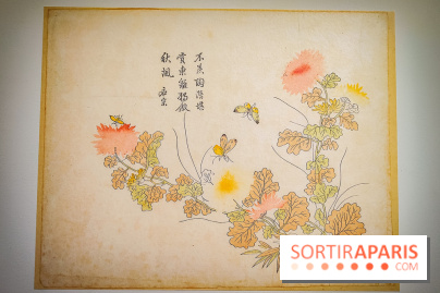 Au cœur de la couleur : l'exposition autour de la porcelaine de Chine au musée Guimet - nos photos - IMG20240611175418