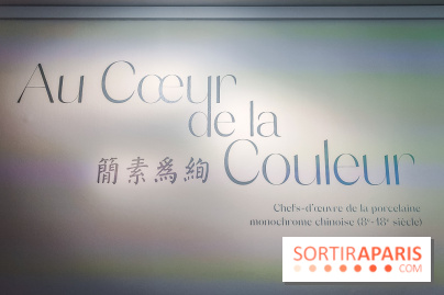 Au cœur de la couleur : l'exposition autour de la porcelaine de Chine au musée Guimet - nos photos
