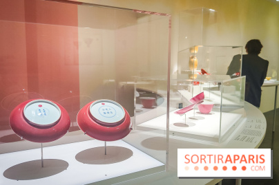 Au cœur de la couleur : l'exposition autour de la porcelaine de Chine au musée Guimet - nos photos - IMG20240611175405