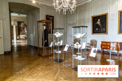 Le Château de la Roche Guyon, le château troglodyte dans le Val-d'Oise - 95 -  A7C3929