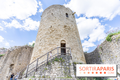 Le Château de la Roche Guyon, le château troglodyte dans le Val-d'Oise - 95 -  donjon