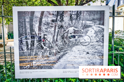 Championnes : l'exposition photo qui explore le sport féminin se dévoile à la galerie Roger-Viollet - IMG20240613102453