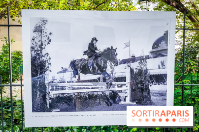 Championnes : l'exposition photo qui explore le sport féminin se dévoile à la galerie Roger-Viollet - IMG20240613102827
