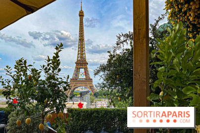 Limonaia Urbana - masterclasses et dégustations à l'italienne au Café de l'Homme - image00019