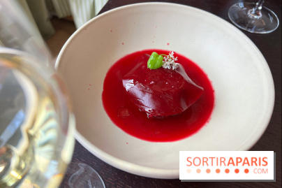 Matka - Bortsch glacé