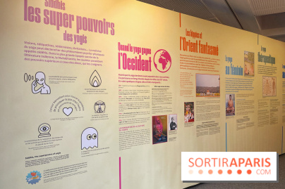 Maitre Yoga - IMG 1856