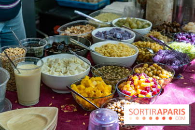 Ici Vietnam Festival à Paris - photos  -  A7C6955