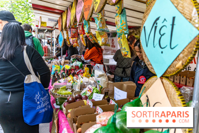 Ici Vietnam Festival à Paris - photos  -  A7C6967