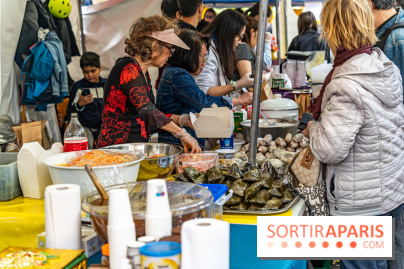 Ici Vietnam Festival à Paris - photos  -  A7C6978