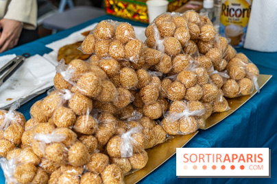 Ici Vietnam Festival à Paris - photos  -  A7C6979