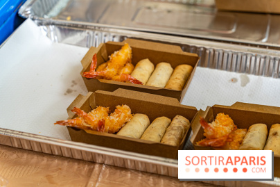 Ici Vietnam Festival à Paris - photos  -  A7C6980