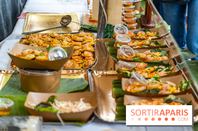 Ici Vietnam Festival à Paris - photos  -  A7C6981