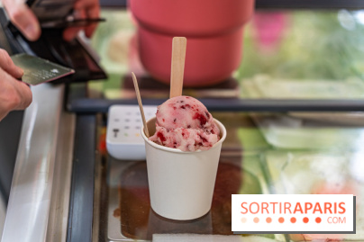 Ici Vietnam Festival à Paris - photos  -  A7C6983