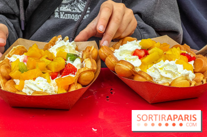 Ici Vietnam Festival à Paris - photos  - IMG 0102