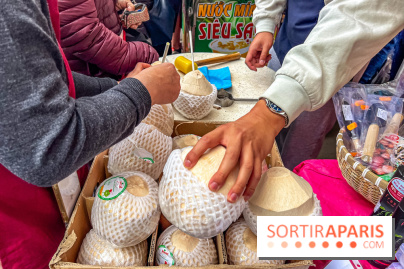 Ici Vietnam Festival à Paris - photos
