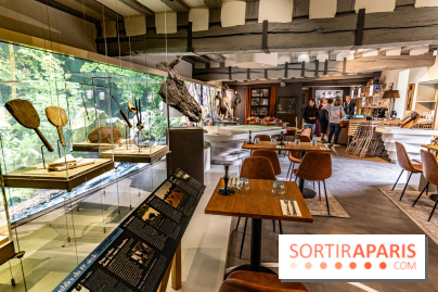 Le restaurant du Petit Moulin des Vaux de Cernay - Oléum Papa, le restaurant culturel -  A7C7076