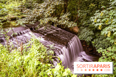 Le restaurant du Petit Moulin des Vaux de Cernay - Oléum Papa, le restaurant culturel -  A7C7083