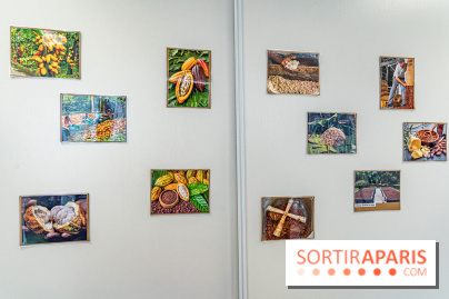 Läderach Opéra, la boutique de chocolats suisse  -  A7C6264