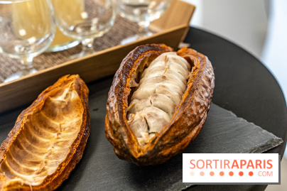 Läderach Opéra, la boutique de chocolats suisse  -  A7C6262