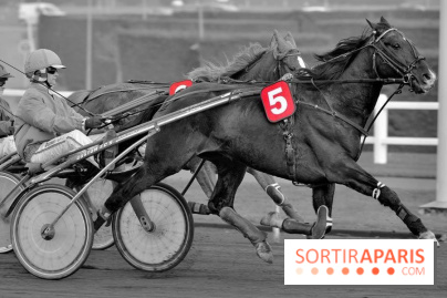 Les Courses spectacle de l'Hippodrome Paris-Vincennes