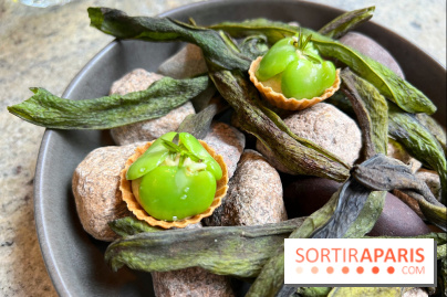 La Table des Résistants - Tartelette fèves