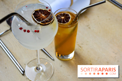 Madame Fan, le restaurant gastronomique chinois à Paris 