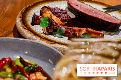 Madame Fan, le restaurant gastronomique chinois à Paris  - DSC 1404