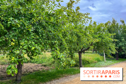 Potager-Fruitier de la Roche Guyon - nos photos - image00033