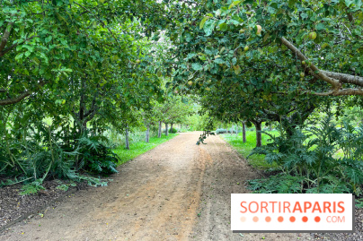 Potager-Fruitier de la Roche Guyon - nos photos - image00031
