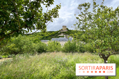 Potager-Fruitier de la Roche Guyon - nos photos - image00027