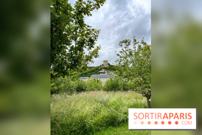 Potager-Fruitier de la Roche Guyon - nos photos - image00028