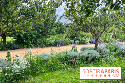 Potager-Fruitier de la Roche Guyon - nos photos - image00026