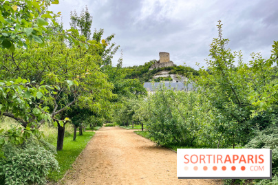 Potager-Fruitier de la Roche Guyon - nos photos - image00020